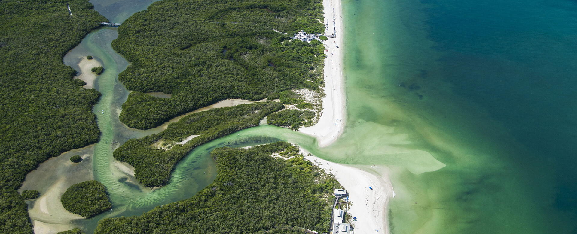 naples grande mangrove aerial view