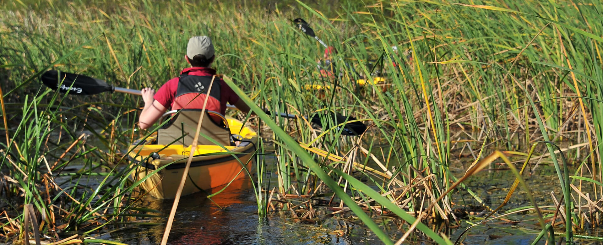 kayaking in the everglades