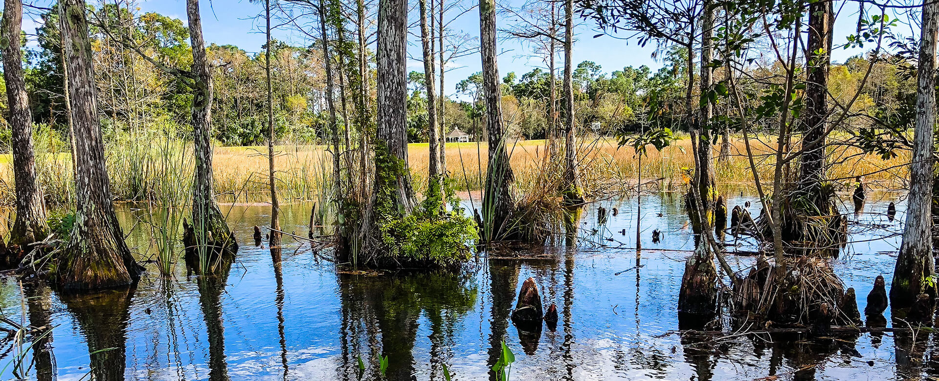 Big Cypress National Preserve