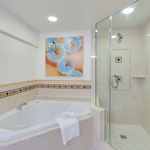 Gulf View Bathroom Tub & Walk-In Shower